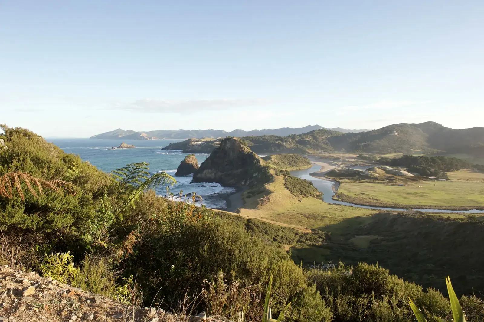 Great Barrier Island coastline