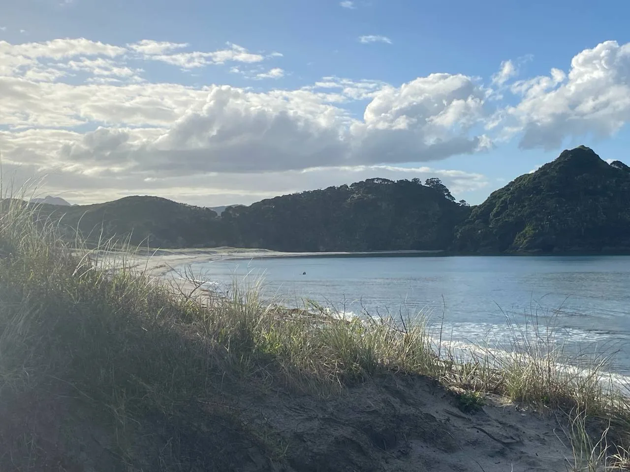Great Barrier Island in Autumn — Why May Is Better Than January