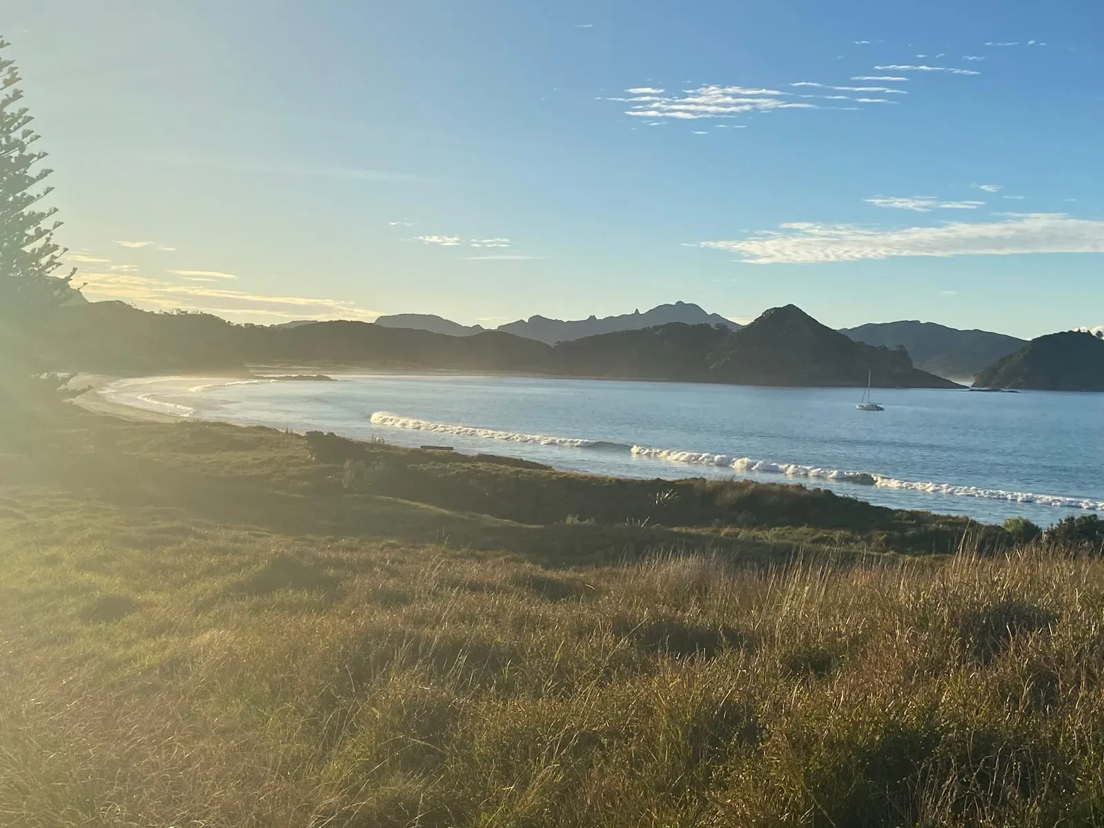 Medlands Beach, Great Barrier Island — The Local Guide